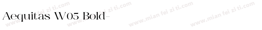 Aequitas W05 Bold字体转换